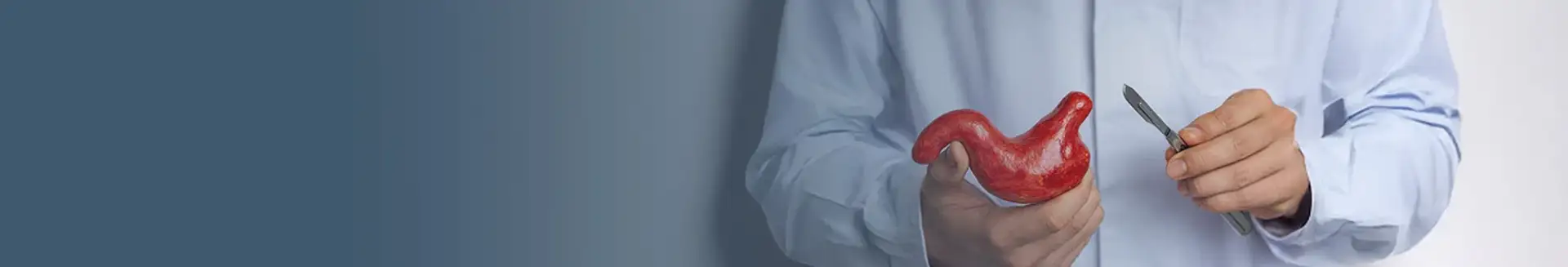 Gastric Bypass in Turkey